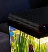 Reptile Fogger Humidifier — Automatic Humidifiers for Reptiles Tank — collection imagery