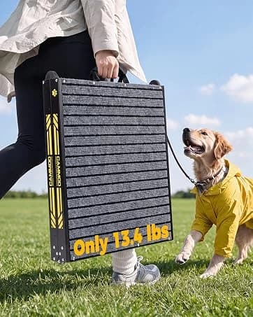 48'' Heavy Duty Dog Crates for Large Dogs — collection imagery