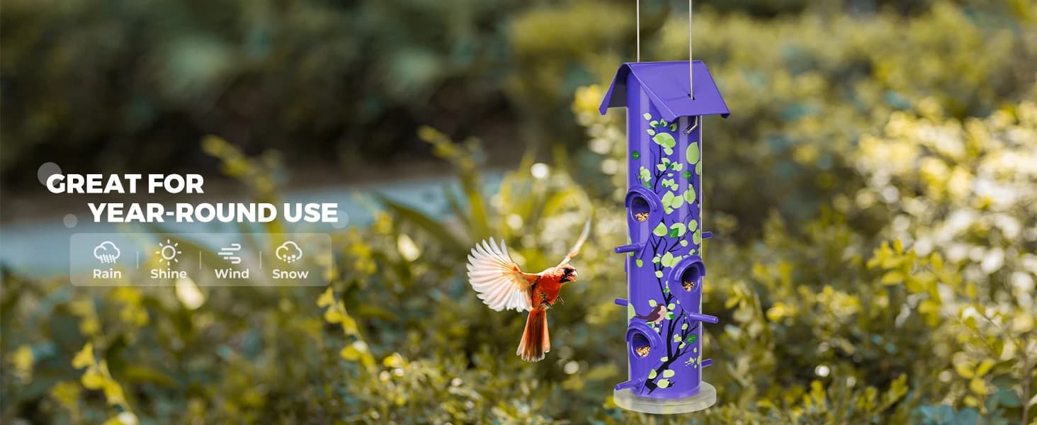 Metal Bird Feeders for Outdoors Hanging — collection imagery