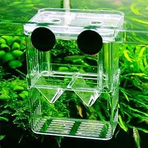Aquarium Fish Breeder Box Plastic Fish Isolation Breeding Box Hatching Incubator Box for Baby Fishes Shrimp — collection imagery