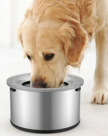 2.5 Gal Gravity Dog Water Dispenser — collection imagery