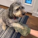 Clean Paws Chenille Microfiber Dog Towel Mitt - Super Absorbent