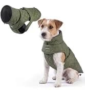 Dog Cooling Vest - Evaporative Summer Cooling — collection imagery