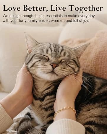 Automatic Cat Feeder with 2K Camera — collection imagery