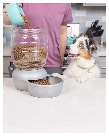 Vari Dog Kennel — Carrier for Large Dogs — collection imagery