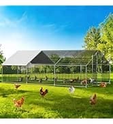 Large Walk-in Chicken Coop with Chicken Run — collection imagery