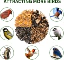 Squirrel-Proof Cedar Hopper Bird Feeder