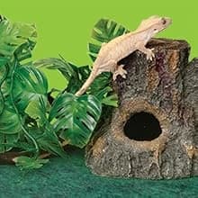 Reptile Terrarium Bedding Substrate Floor Liner — For All Reptile Owners