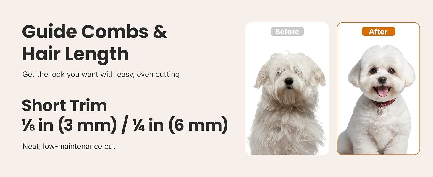 P1 Pro Dog Grooming Vacuum — 6-in-1 Kit — collection imagery