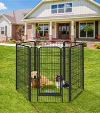 64-Inch Open Top Bird Cage for Parakeets and Cockatiels — collection imagery