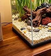 Reptile Fogger Humidifier — Automatic Humidifiers for Reptiles Tank — collection imagery