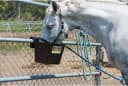Plastic Hook Over Feeder | Mountable Livestock and Pet Feed Bucket | Horse Feed Bucket | Made in USA | 15 Quarts