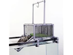 Extra Large Turtle Basking Platform with Artificial Grass — collection imagery