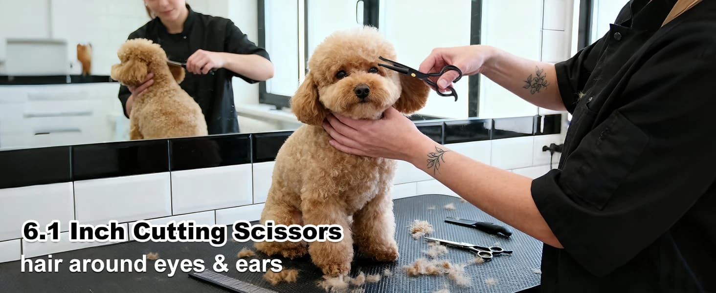 Dog Grooming Scissors Kit — 7 Inch Safety Pet Cat Shears Set — collection imagery