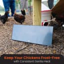 Cozy Coop Chicken Coop Heater