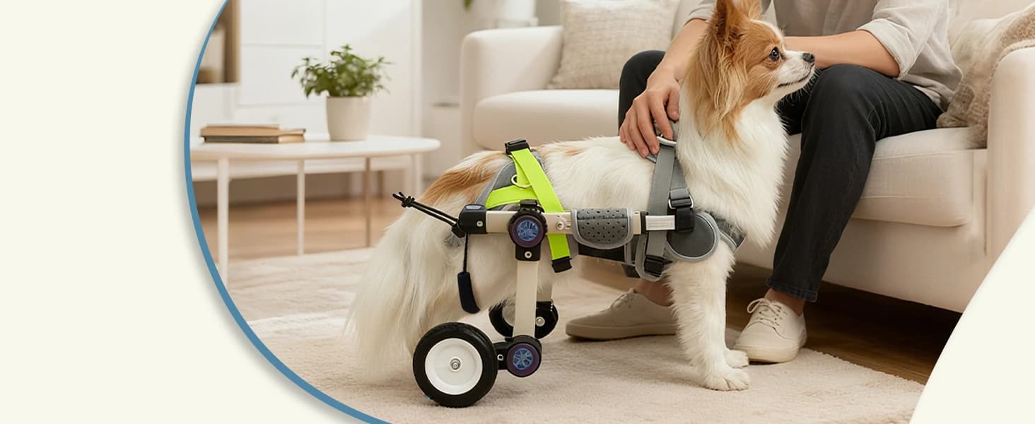Dog Wheelchair for Back Legs — Adjustable Mobility Cart for Dog — product details
