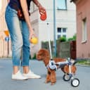 Dog Wheelchair for Back Legs — Adjustable Mobility Cart for Dog