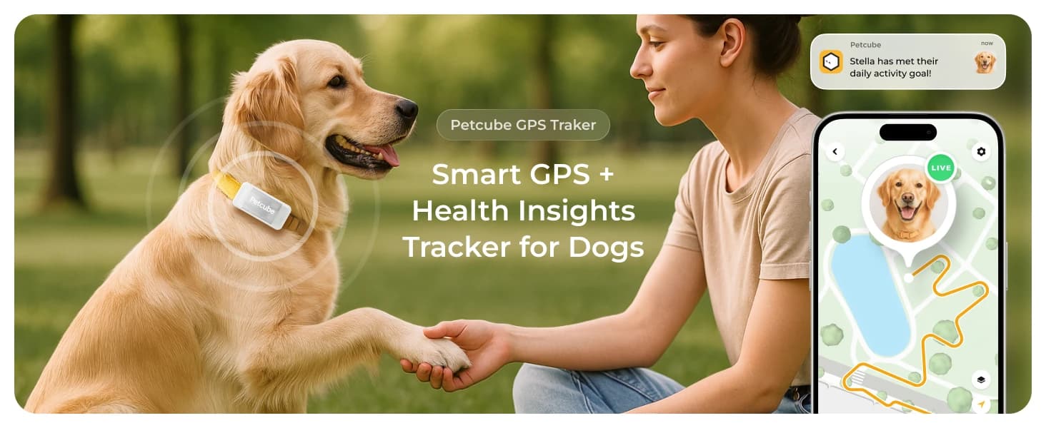 GPS Tracker for Dogs – Real-Time GPS Tracking and Escape Alerts — product details