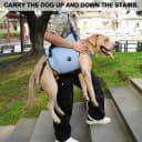 Dog Lift Harness, Pet Support and Rehabilitation Sling Lift Adjustable Padded Breathable Straps for Old