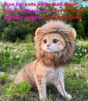 Lion Mane Wig for Cat Costume Pet Adjustable Washable Comfortable Fancy Lion Hair Cat Clothes Dress for