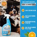 Pet Odor and Stain Eliminator - 32 oz Enzyme Cleaner for Dog & Cat Urine