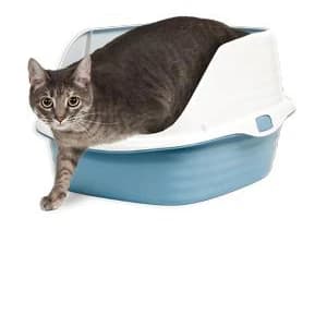 Rimmed Open Cat Litter Box — Wave with High Sides — Rimmed Wave Pan, Large