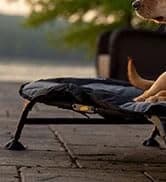 Final Stand Dog Adjustable Training Platform and Storage Panel | Hunting Stand | Elevated Pet System for Place — collection imagery