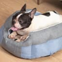 Microwave Heating Pad for Puppy