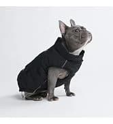 Dog Cooling Vest - Evaporative Summer Cooling — collection imagery