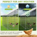 Large Walk-in Chicken Coop with Chicken Run