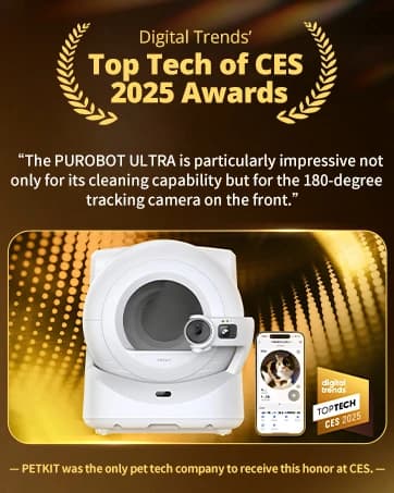 Upgraded Multi-Cat Recognition Automatic Cat Feeder with Camera — collection imagery