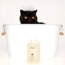 Fur Bébé Pet Shampoo - Mercer Street Scent (16 Fl oz)
