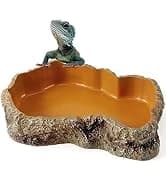 Reptile Food Dish Bowl — 2Pcs Lizard Gecko Worm Water Bowls Small (2.75in) — collection imagery