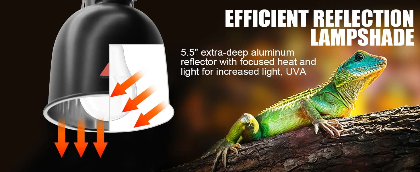 Reptile Light Fixture — 2 Packs 5.5 Inch Deep Dome Lampshade — Polished Reptile Light Fixture for Heat Reflection and Brightness Enhancement
