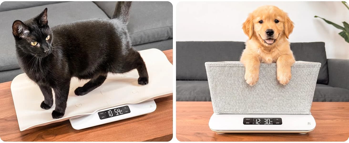 Wiggle-Proof Digital Pet Scale for Cats — product details