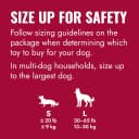 Flyer — Natural Rubber Flying Disc Fetch Toy