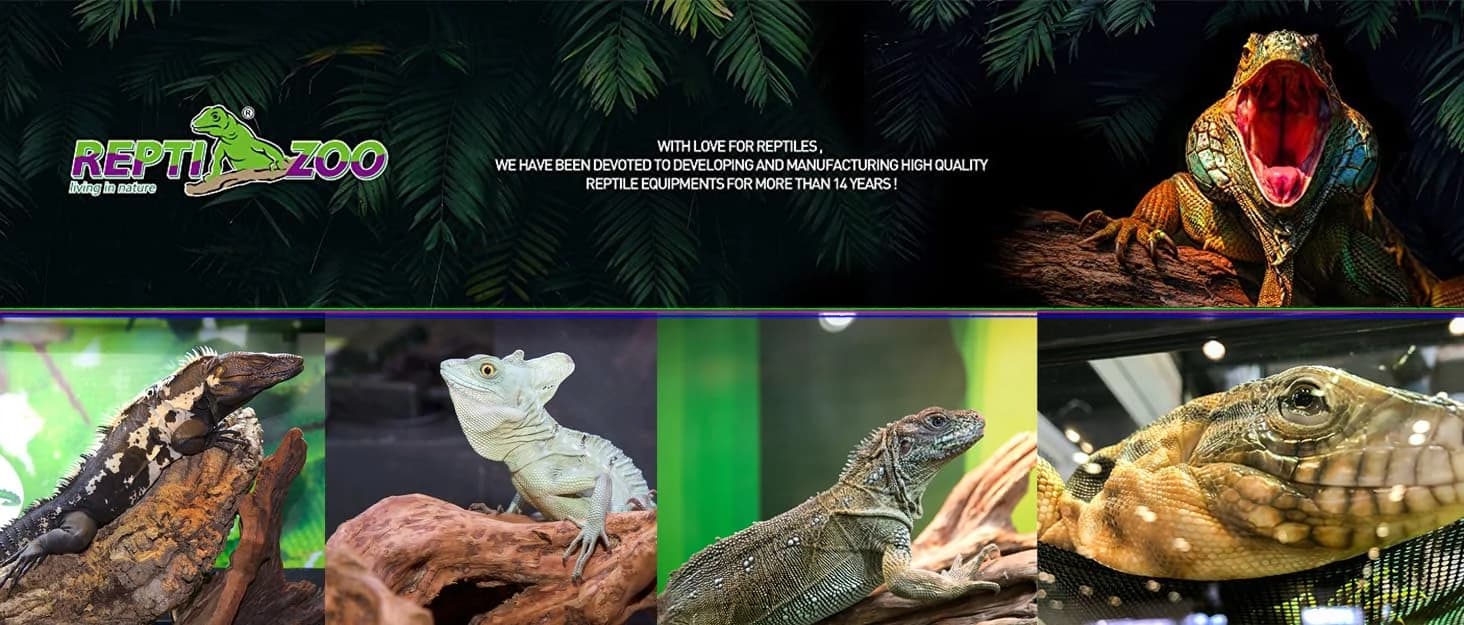 18" x 18" x 36" Front Opening Chameleon Cage with 3-Sided Metal Mesh — collection imagery