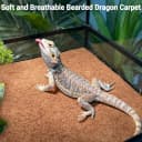 10 Pcs Reptile Carpet 12x12 Inch Coconut Fiber Mat for Tank Bedding