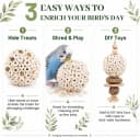 Bird Toys Sola Balls 2.36'' - 6PCS — Bird Foraging Toy