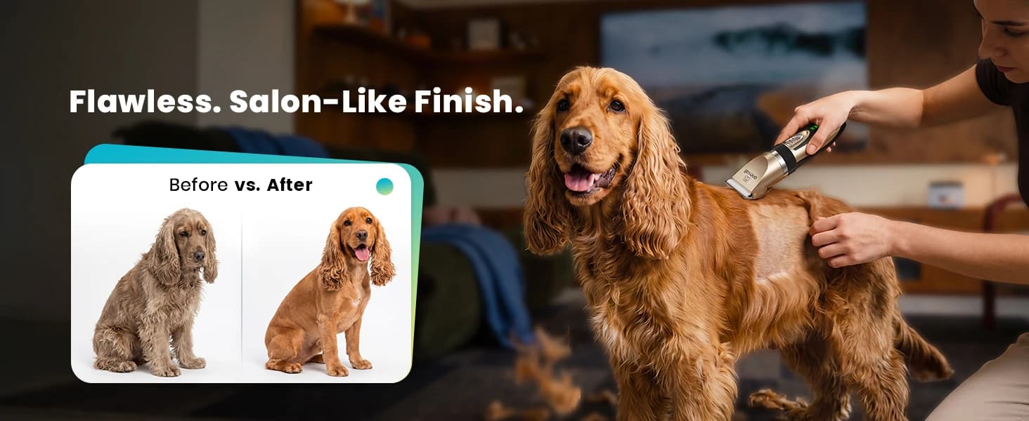Dog Grooming Clippers with LED Display for Dogs and Cats — collection imagery