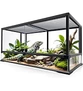 Reptile Chameleon Cantina Drinking Fountain Water dripper Supplied with Feeding Tongs and Frosted Tweezer for — collection imagery