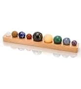 Turtle Basking Platform — Fish Tank Aquarium Tortoise Climbing Platform with 3 Suction Cups — collection imagery