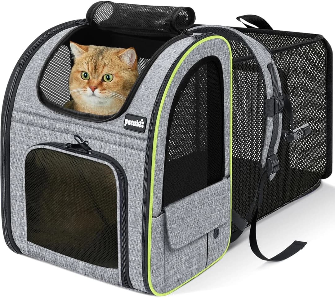 Cat Backpack Expandable — Cat Carrier Backpack with Breathable Window