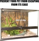 2pcs Reptile Terrarium Lock for Sliding Door — Bearded Dragon Tank Lock