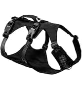 Hitch Hiker Dog Backpack Carrier — collection imagery