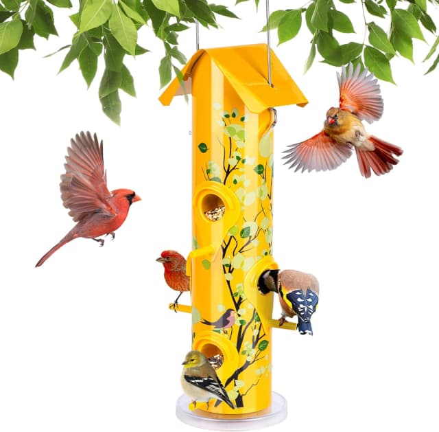 Metal Bird Feeders for Outdoors Hanging