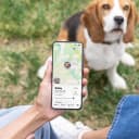 Pet GPS Tracker for Dogs | Live Tracking