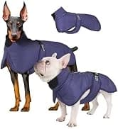 Dog Backpack for Small Dogs to Wear — collection imagery