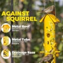 Metal Bird Feeders for Outdoors Hanging