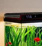 Reptile Fogger Humidifier — Automatic Humidifiers for Reptiles Tank — collection imagery